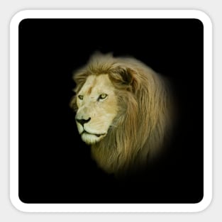 White lion Sticker